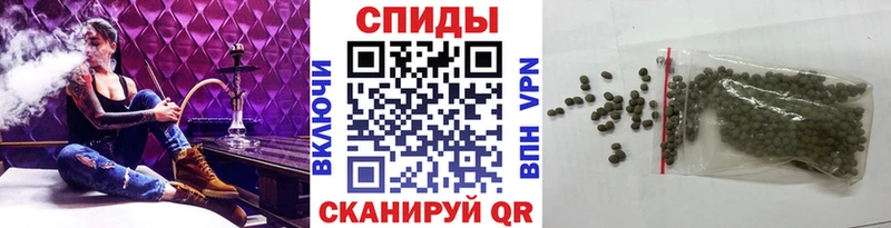 Бутират буратино  Псков 