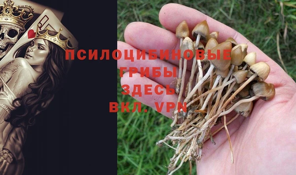 дживик Верея